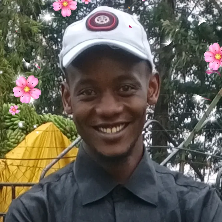 Mavo