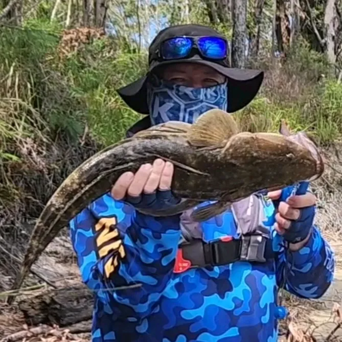 The Fishing Shed Bathurst