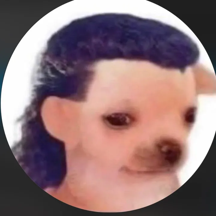 Dj