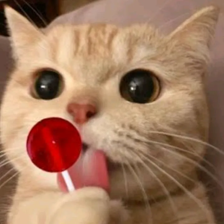 Eva_ama_os_gatos