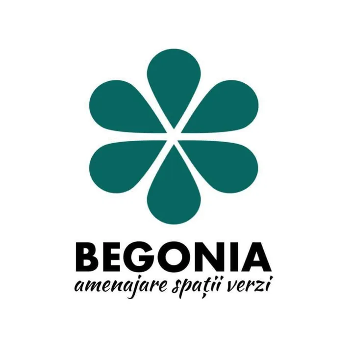 Begonia Concept