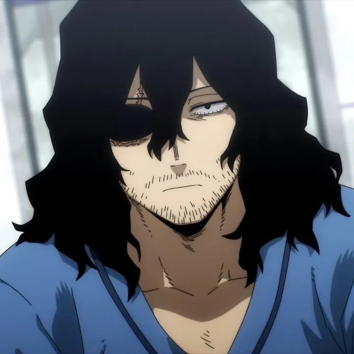 ✴️❇️Aizawa’s cat❇️✴️