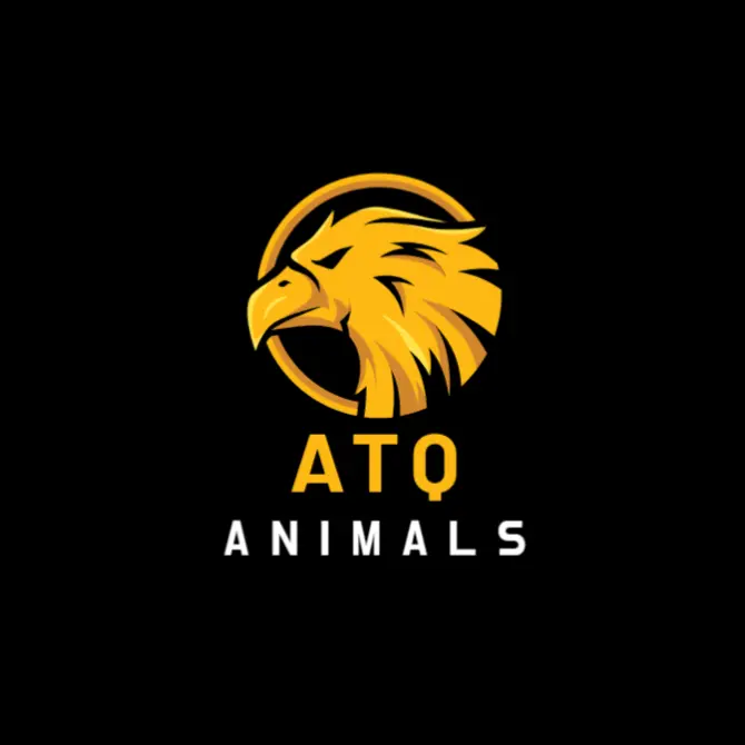 QTA animals