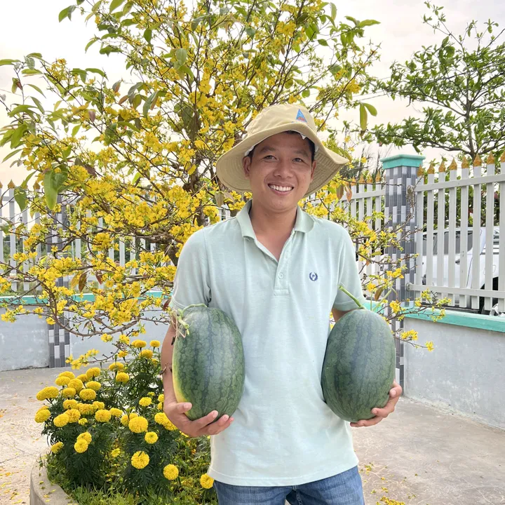 VTNN Vinh Phương