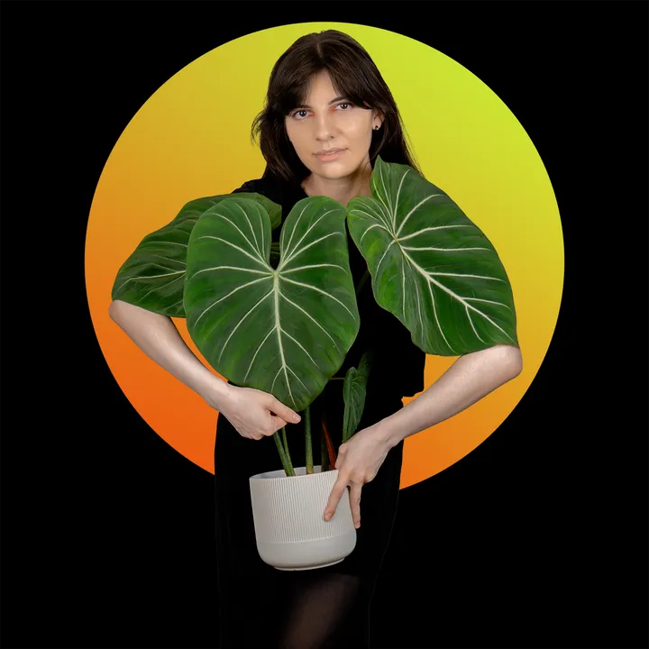 plantsbutbetter