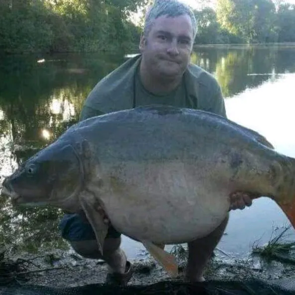 👨‍🦳posh the carper