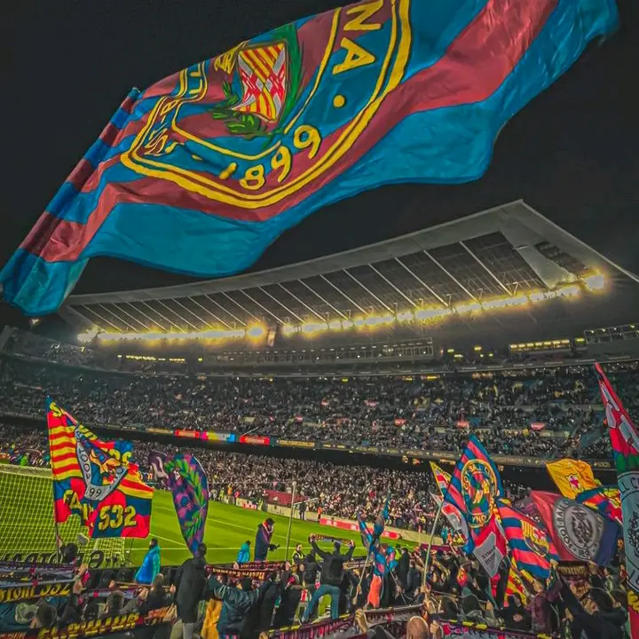 Visca Barca💙❤
