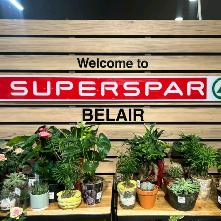 Belair Superspar
