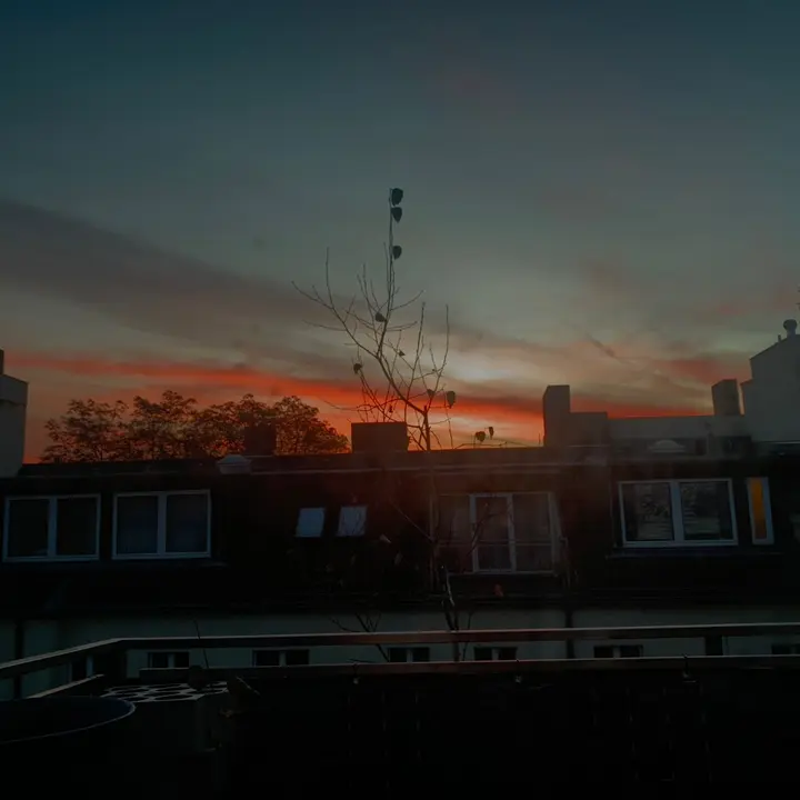 🎃👻🍁🍂Team Autumn🍂🍁👻🎃