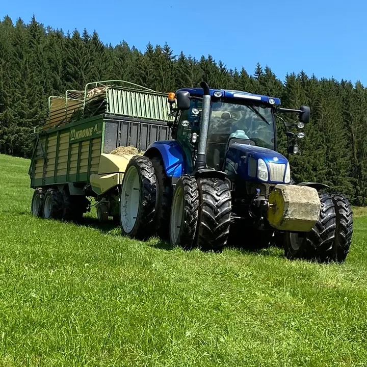 Farm Life im Gurktol