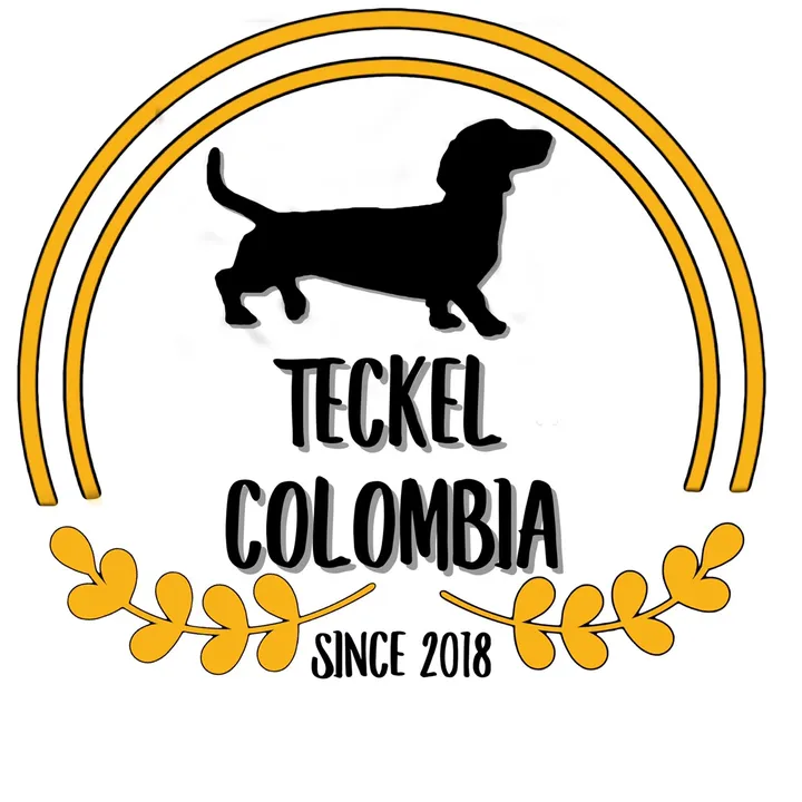 Teckel colombia