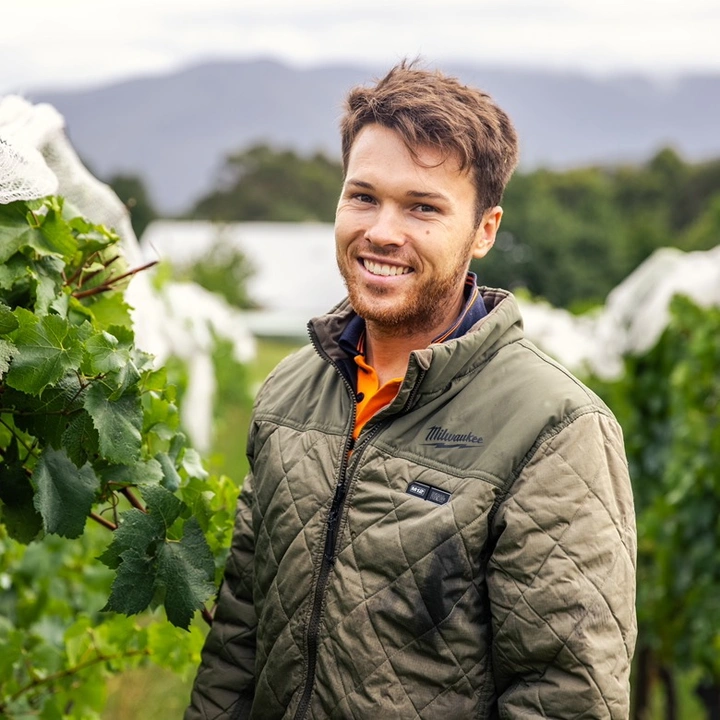VineGuyWineGuy