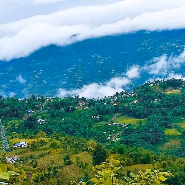 F O R  Y O U❤️‍🔥