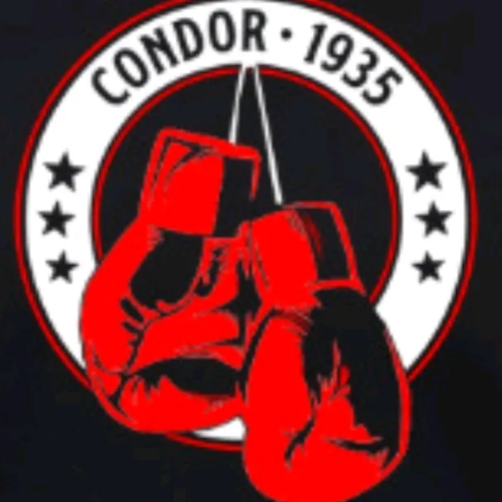 condor 1935