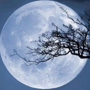 ❖︵🅟🅐🅘🅝 ︵❖