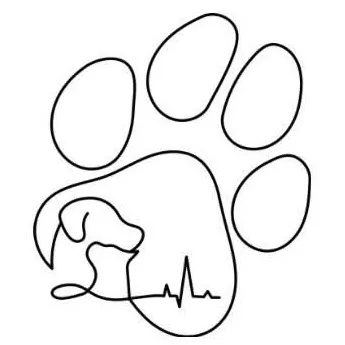 Animalía