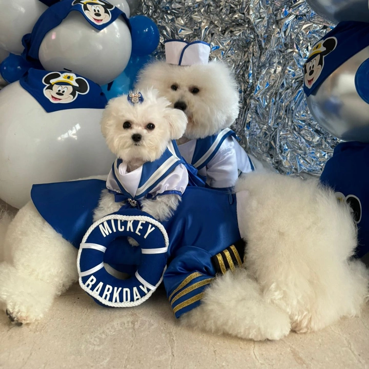 Mickey - Milo - Milky