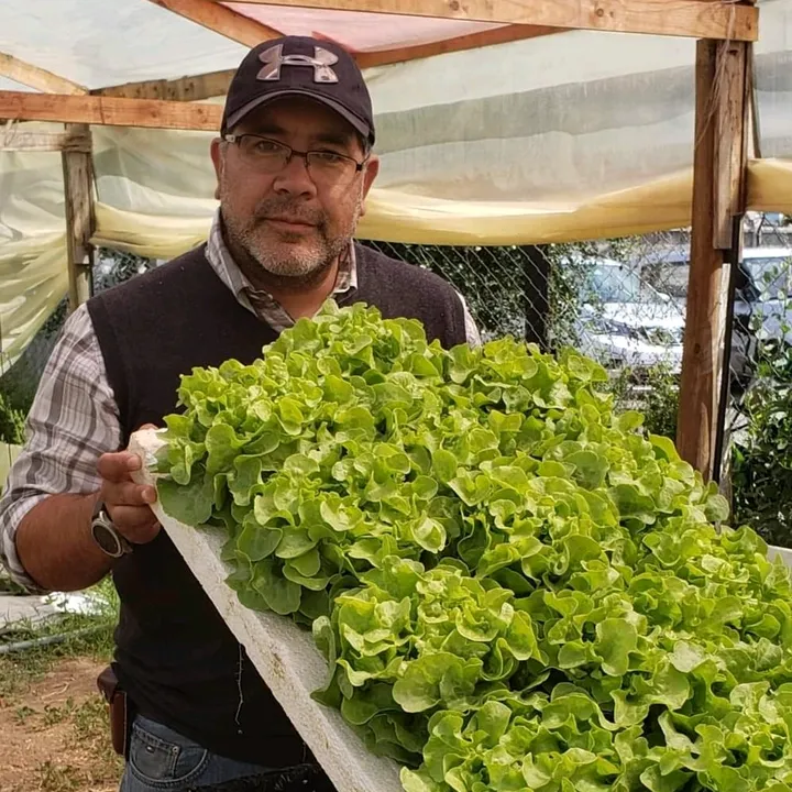 FreddyAgro.