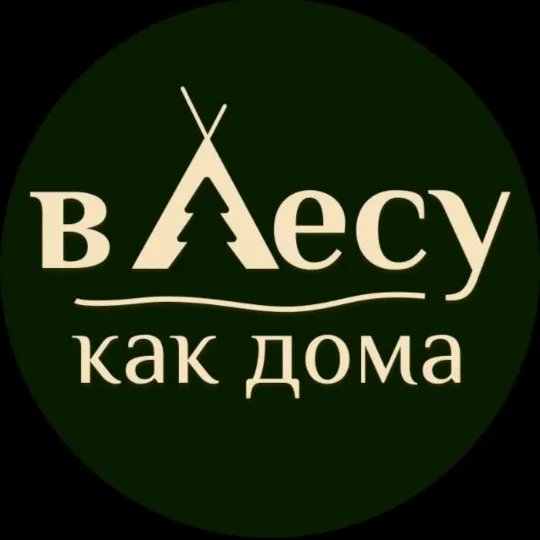 v Lesu