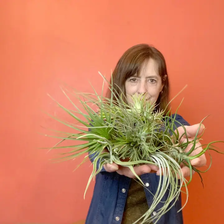 aproposflowers