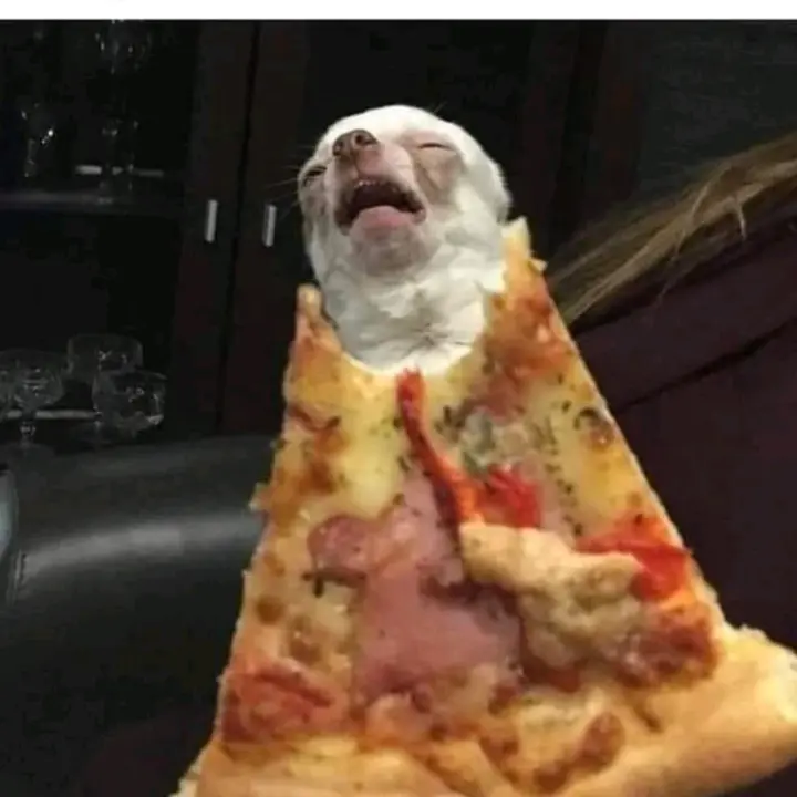 Haft Aufklärer! Drugsscout!