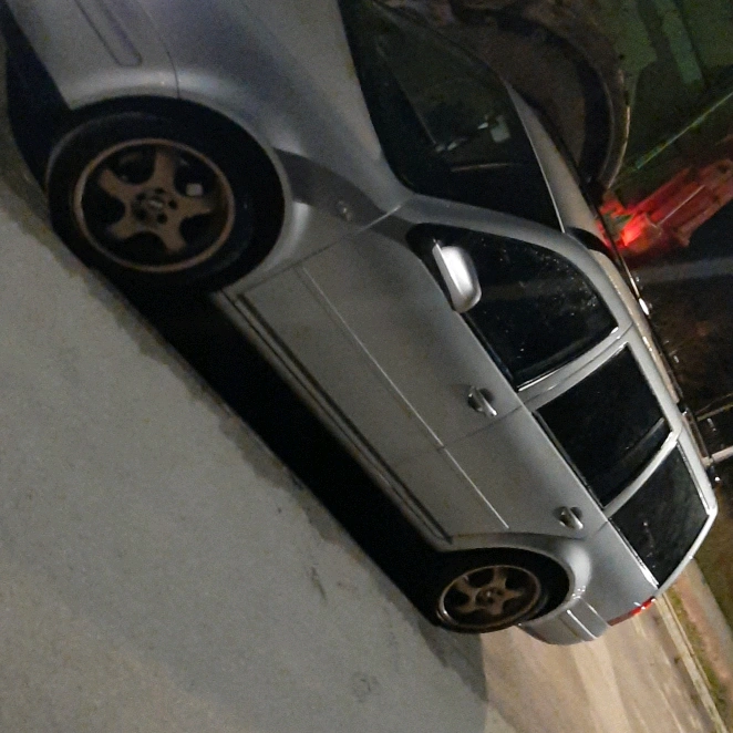 Jaca_995