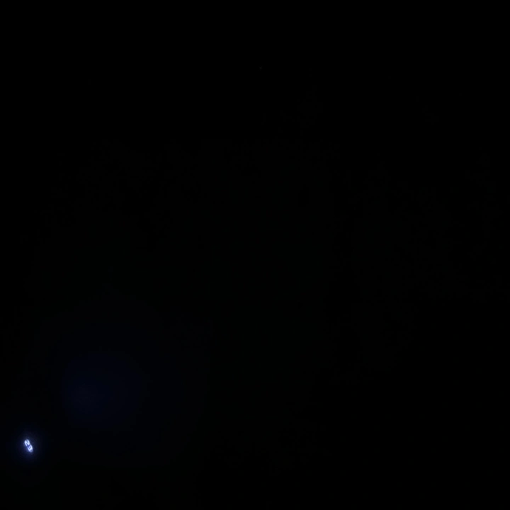 brejenevhallofficial