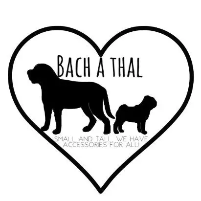BachAThal-SmallAndTall