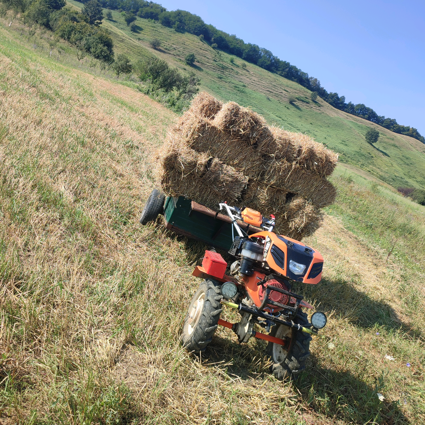 🌳💪Agricultur💪🌳