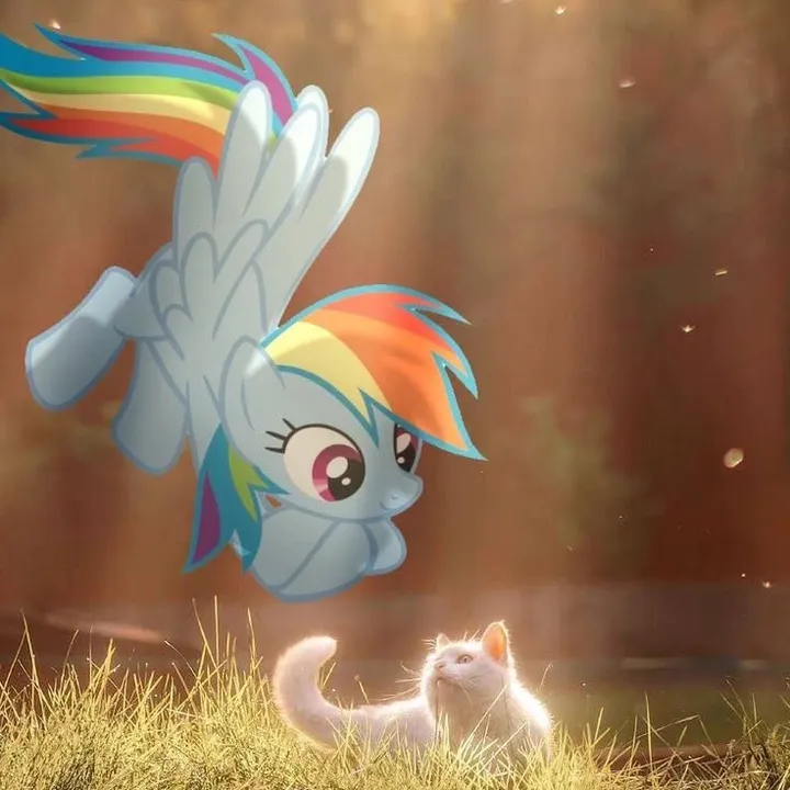 Love-Rainbow Dash