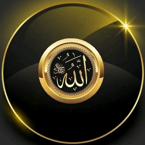 👑محمد اکرام 🎖️