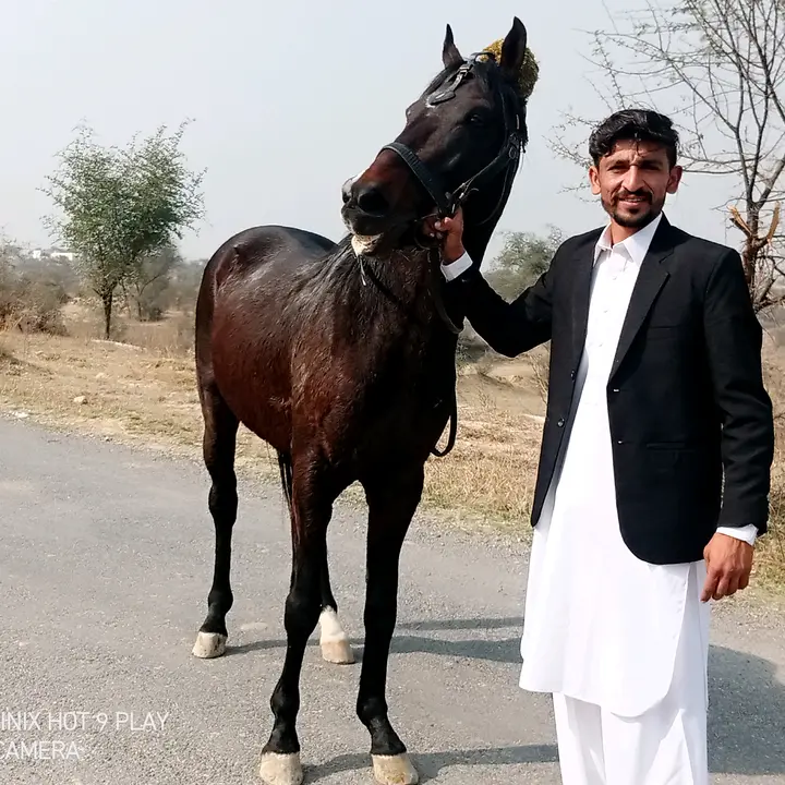 Syedzahirshahhamdani