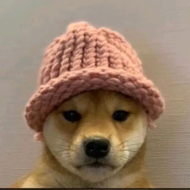 ✨✨MR RESTRICTION✨✨