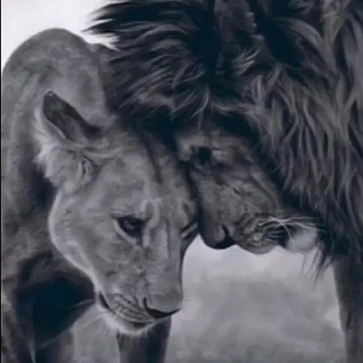 ASLAN