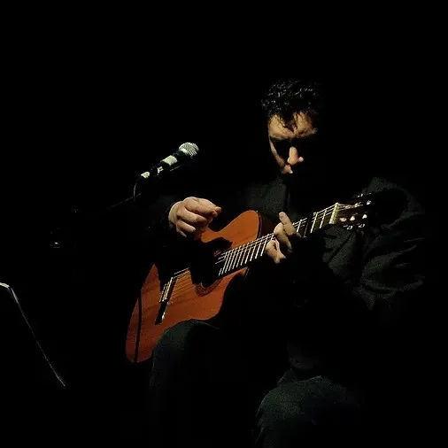 Patricio Anabalón - Cantautor