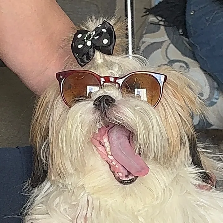 Sol