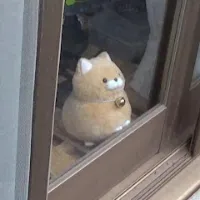 Kuneru【切り抜きch】