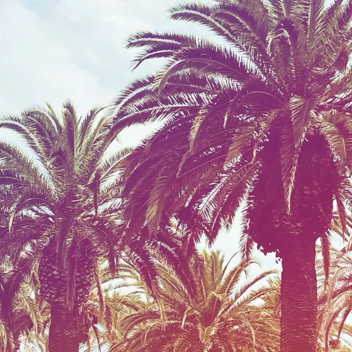 Läraren Linnea🌴💕