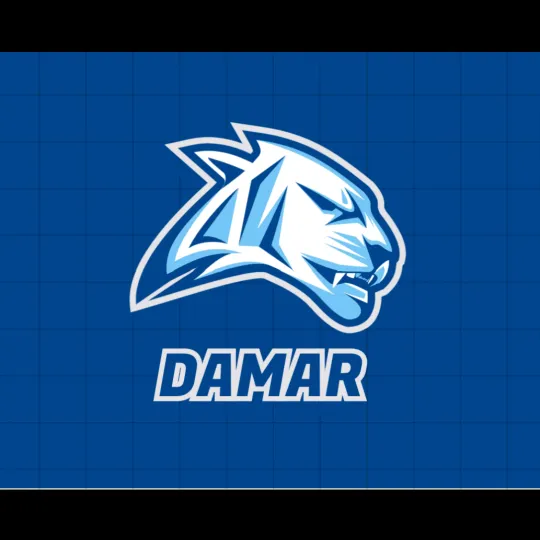 🌪DAMAR🔥