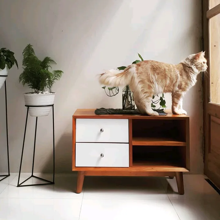 VINOCE PUSAT FURNITURE CUSTOM