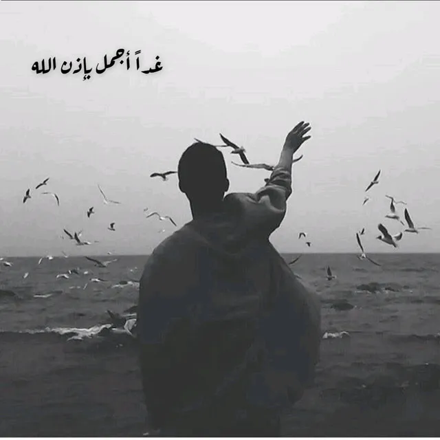 الــطُـٌـٌياوي ↵ 𓆩 𝐅-𝟏𝟖 𓆪