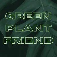Green Plant Friend