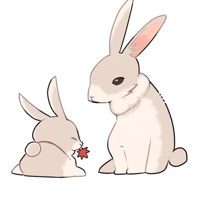 asmrのうさぎ🐰