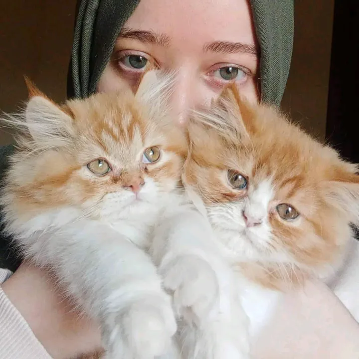 Seoul & Sukar - سُول وسُكر