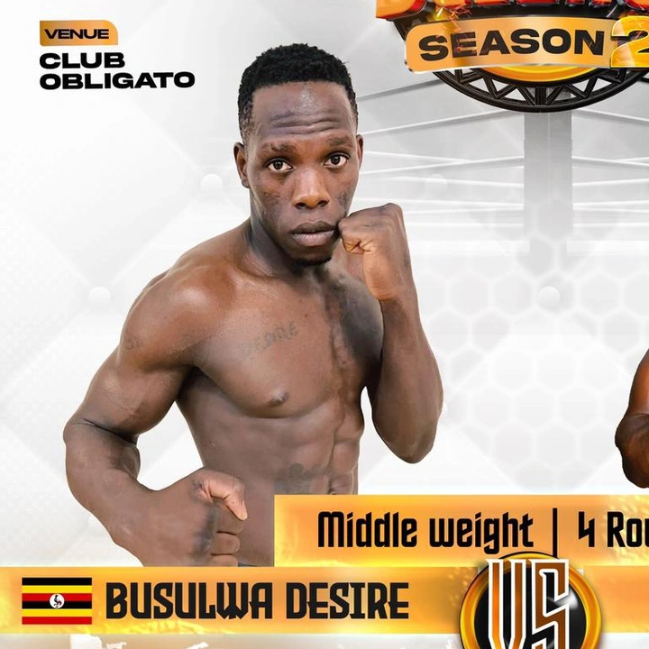 ddezo Alligator. Desire