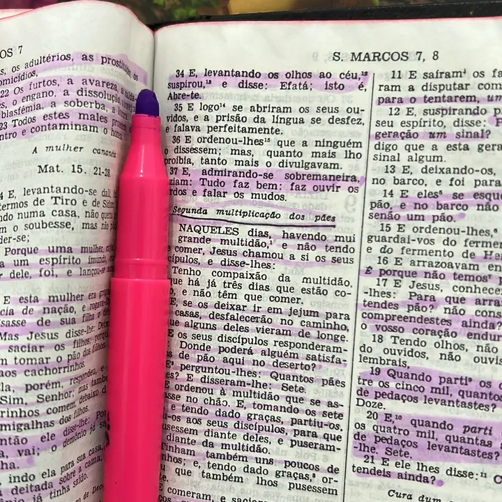 Estudando a Bíblia 📚