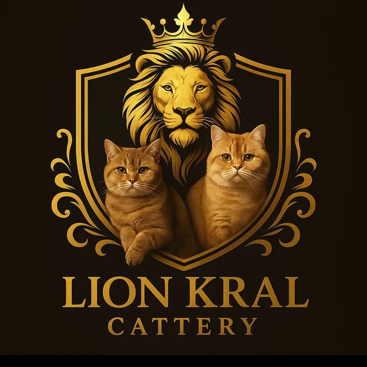 lionkralcattery