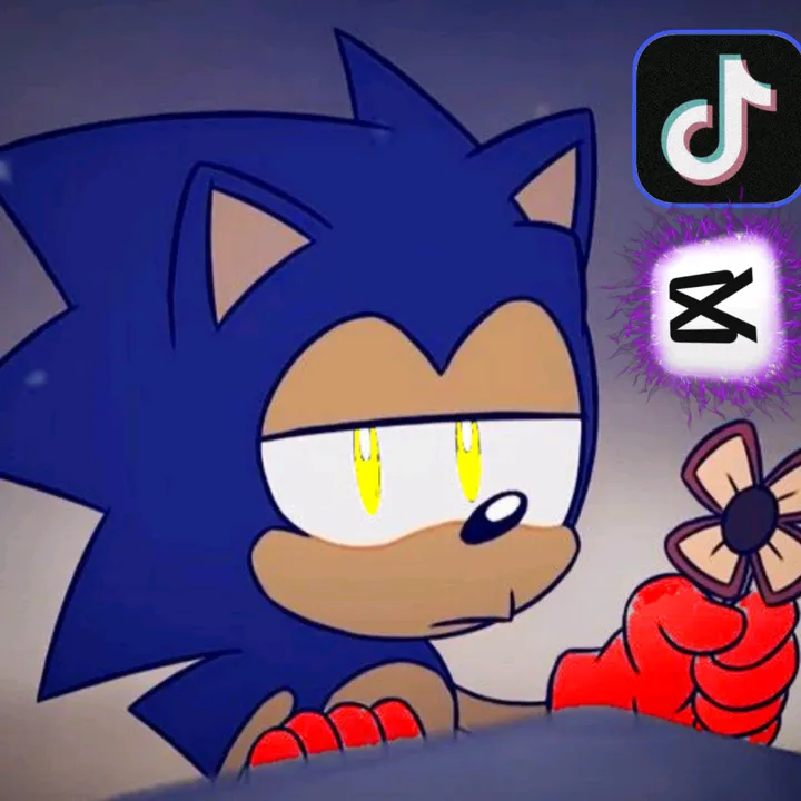 🇸 🇴 🇳 🇪 🇷  🦔🇪🇨