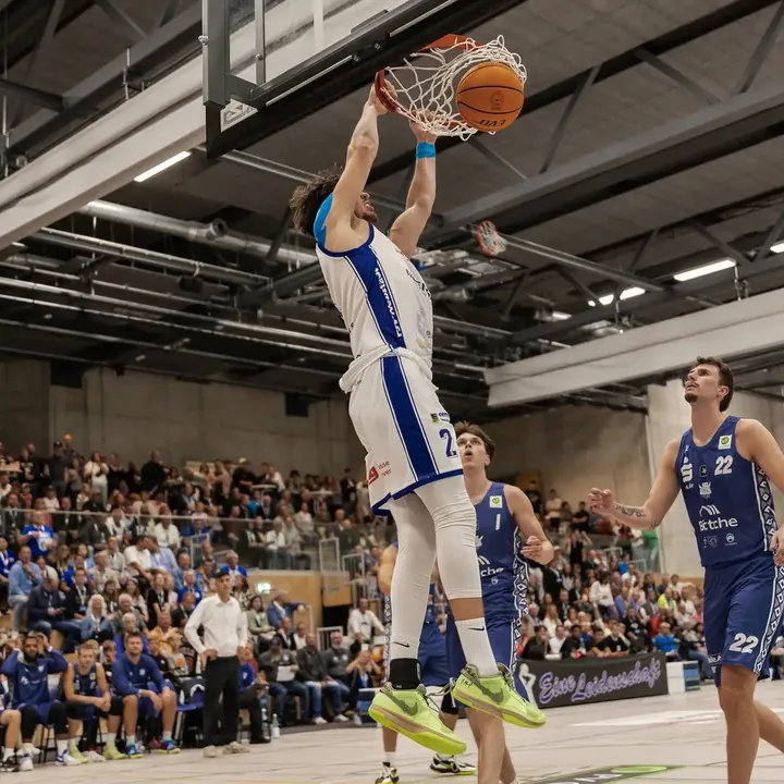 duje dujmovic