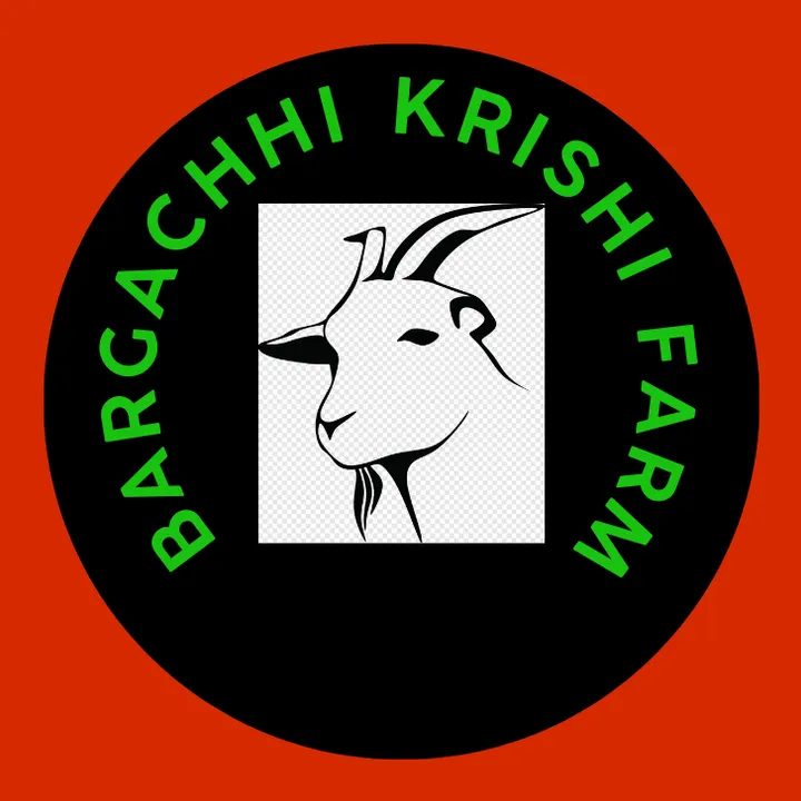 Bargachhi krishi Farm